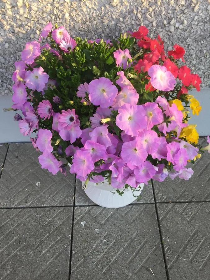 Bed and breakfast Seacrest B&B Galway