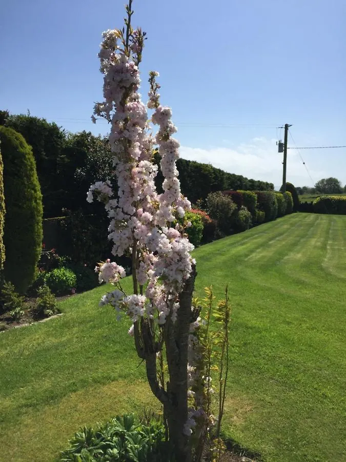Seacrest B&B Galway 0*,  Irlanda